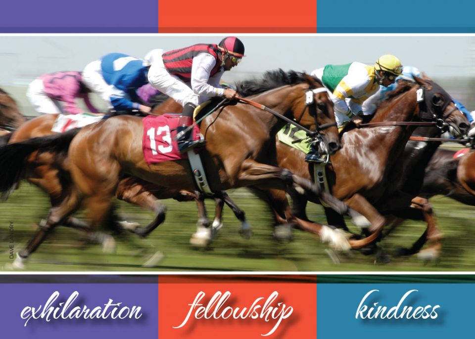 thoroughbred race club - exhilaration, fellowship, kindness branded header